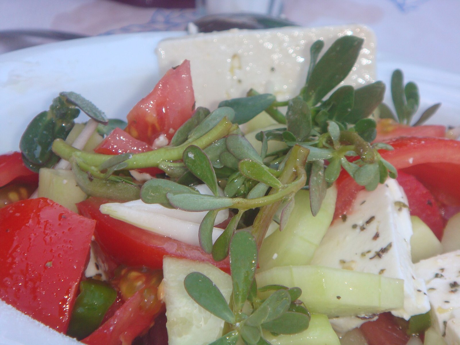 The Green Mediterranean Diet: How I Cut My Visceral Fat From 6% to 3% in 3 Months