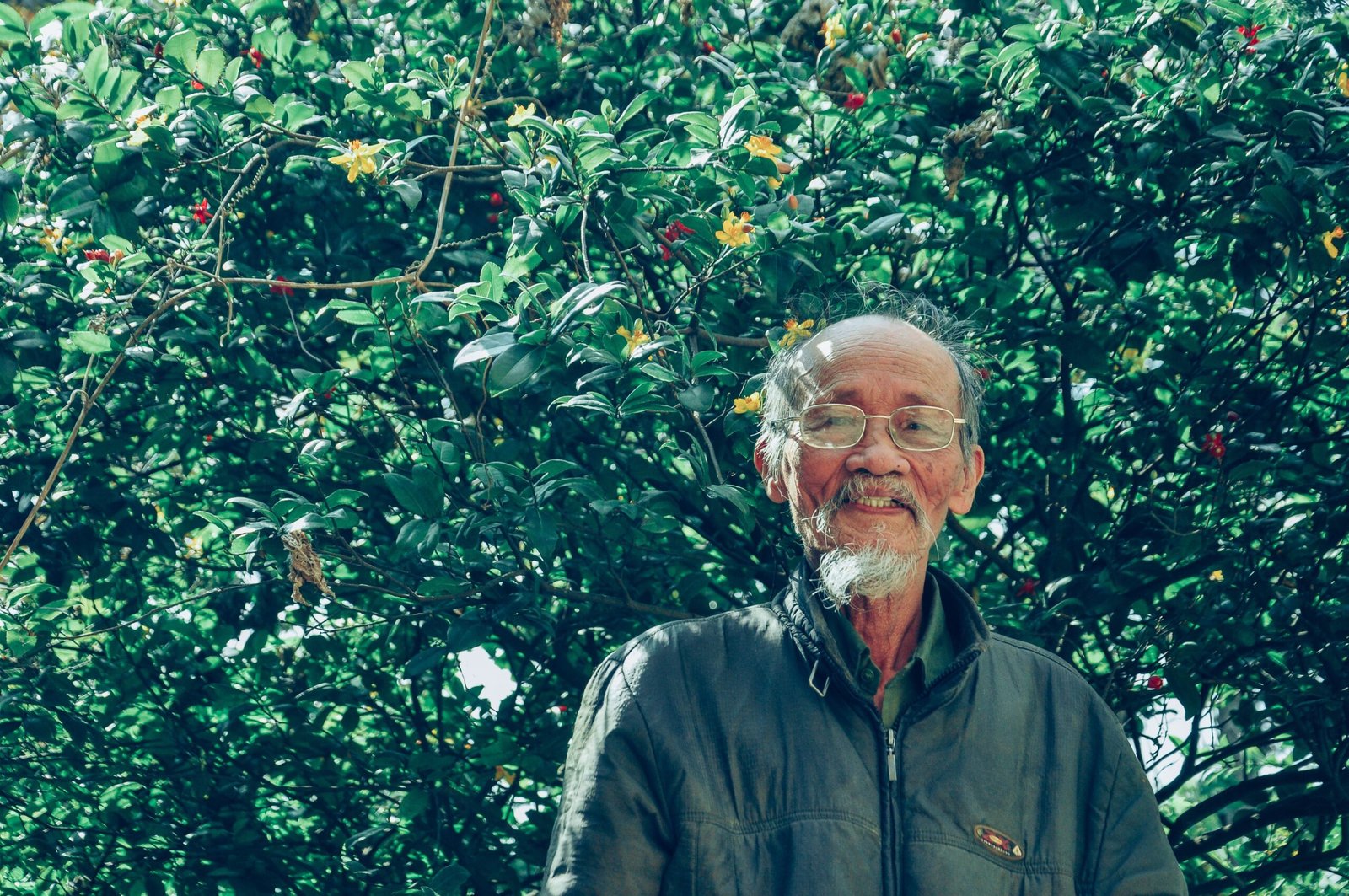 Senior man wearing eyeglasses smiling in a lush green garden