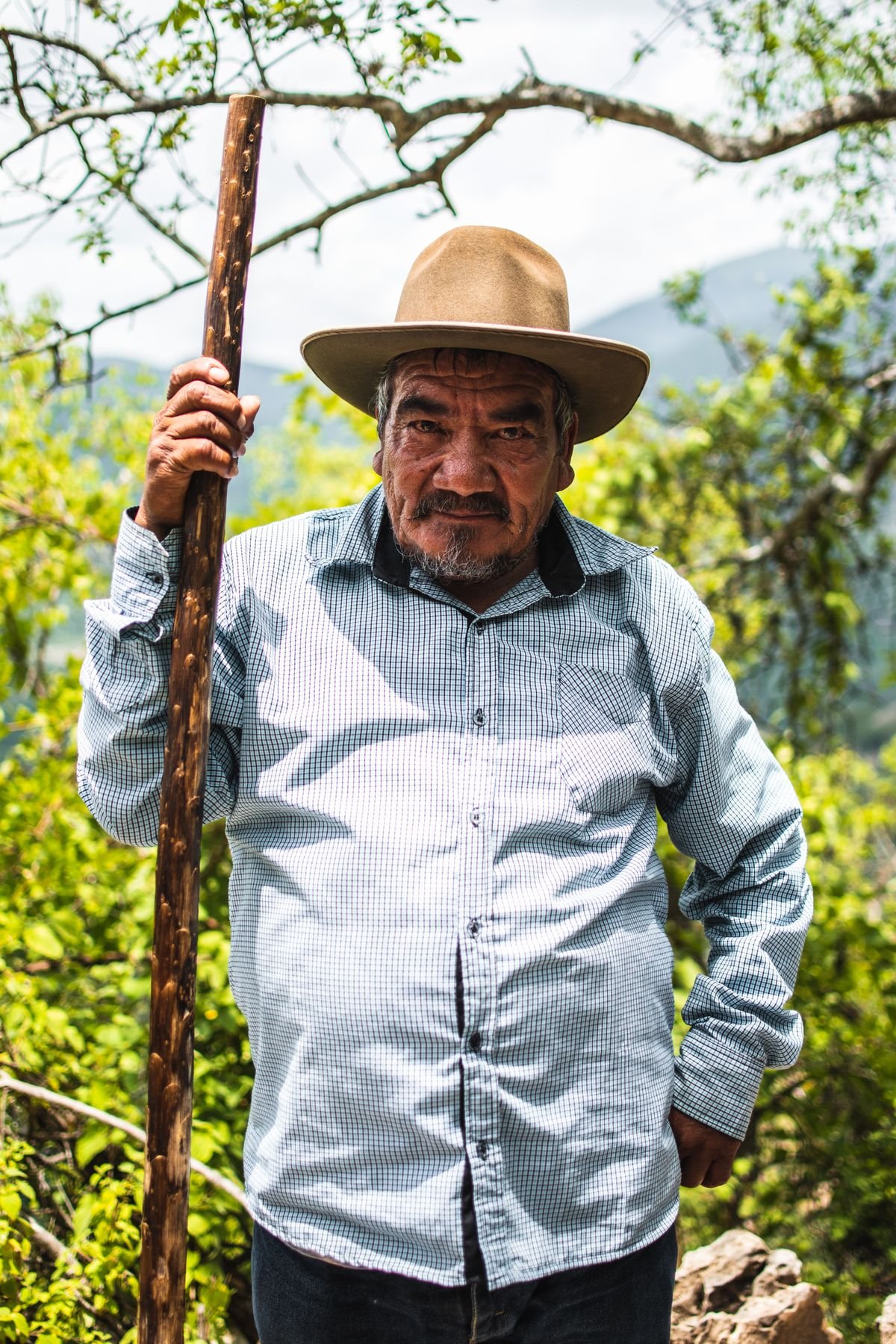 Older Latino man in a checked shirt holding a walking stick outdoors among trees